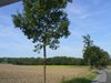 LJ80 weekend Duitsland 128