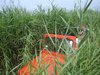 DSC04753